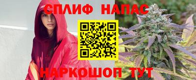индика Ливны