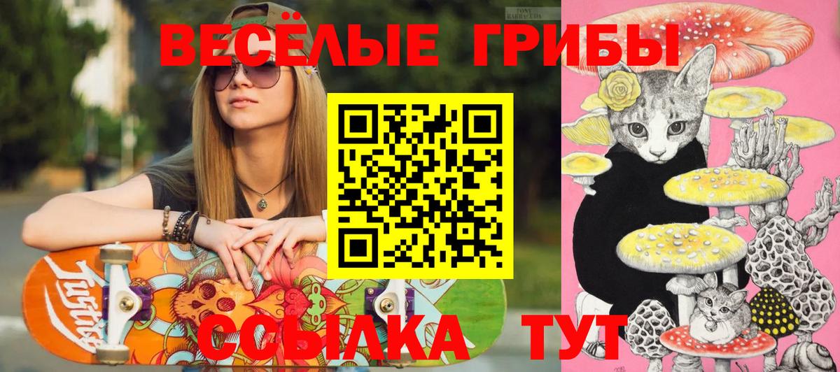 Галлюциногенные грибы Magic Shrooms  Вход с VPN  Сухой Лог 