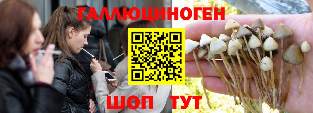 ГАШ Сухой Лог