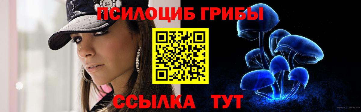 Псилоцибиновые грибы прущие грибы Сухой Лог